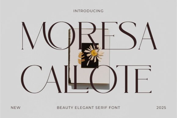Moresa Callote: Infusing Pure Class into Your Design Grid