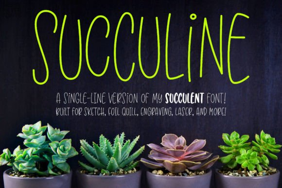 Succuline (Single Line): A Font for Modern Makers